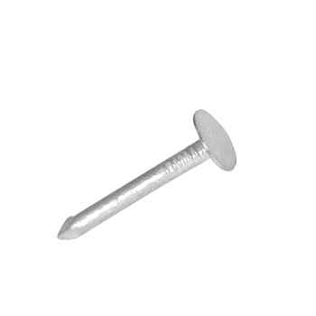 Image of Galvanised Extra Large head Clout Nail 1 KG Pack